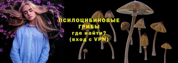 винт Новозыбков