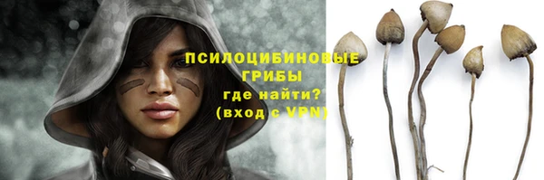 не бодяженный Абаза