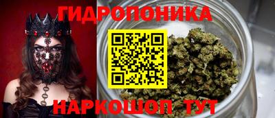 гидропоника Жуковский