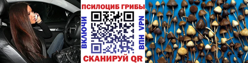 Галлюциногенные грибы Psilocybine cubensis  закладка  Саратов 