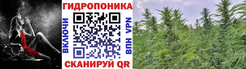 Конопля THC 21%  Саратов 